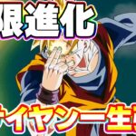 超サイヤンの進化が止まりません！！【ドッカンバトル】