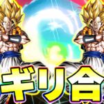 ジレンも瞬殺ゴジータのサポート×2はギリギリ合法です【ドッカンバトル】