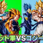 【10周年集結】ベジット軍VSゴジータ軍【ドッカンバトル】