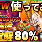 最強壁80%軽減『超極限3ベジータ』使ってみたら結構危険じゃねーか！！【ドッカンバトル】【地球育ちのげるし】