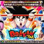ドッカンフェス 孫悟空(少年期) 追加40連の結果(ドッカンバトル)