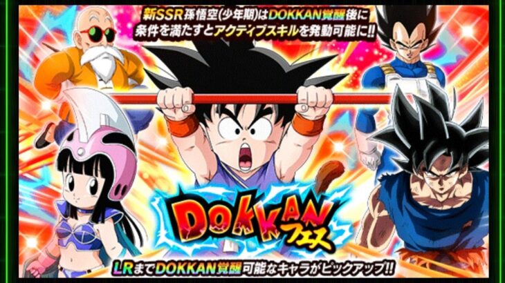 ドッカンフェス 孫悟空(少年期) 追加40連の結果(ドッカンバトル)