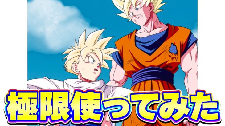 極限した交代悟飯を使ってみたら結構やれました【ドッカンバトル】