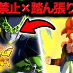 視聴者さんから教えてもらった決まれば脳汁確定の最強ライジングが楽しすぎた【ドラゴンボールレジェンズ】【DRAGONBALL LEGENDS】【ゲーム実況】