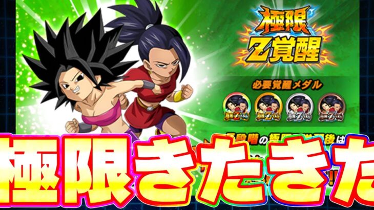 技のカリフラ&ケールの極限性能きたきたきたー【ドッカンバトル】