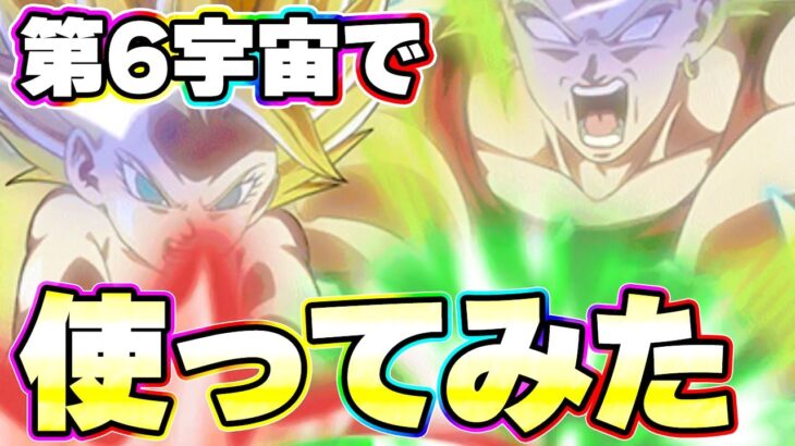LRカリフラ＋ケールを第6宇宙で使ってみた【ドッカンバトル】