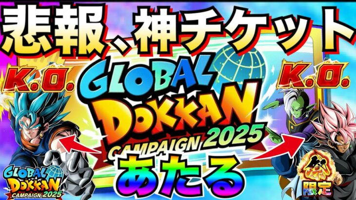 悲報『神チケット』44%の確率で目玉LR無料GETがヤバすぎる..【ドッカンバトル】【地球育ちのげるし】