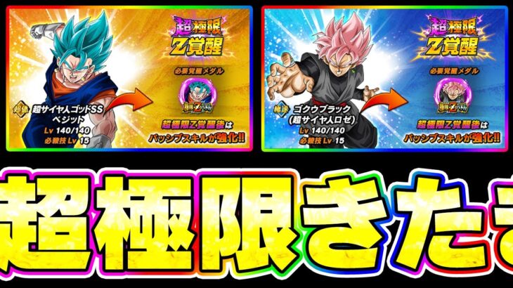ベジットブルーとロゼの超極限きたきたきたー【ドッカンバトル】
