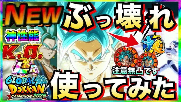 全てが最高峰『リバチェンLRベジットブルー』使ってみたらくっそ最高じゃねーか！！グローバルCP【ドッカンバトル】【地球育ちのげるし】